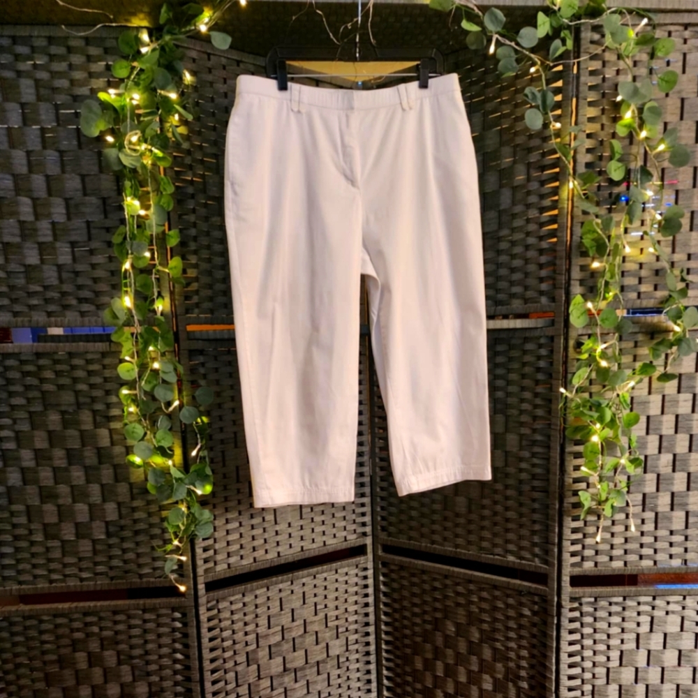 Sag Harbor Capri The Slimming Solution  16/18 check measurements.